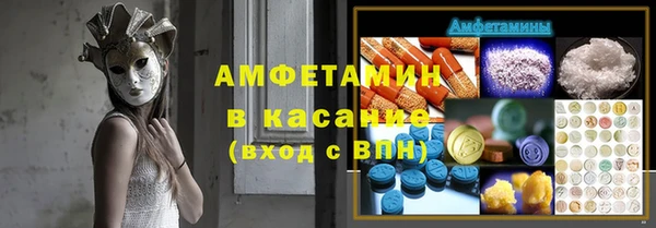 индика Белокуриха