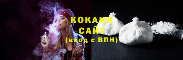 индика Белокуриха