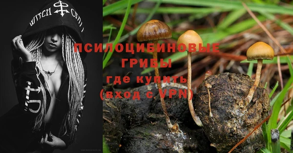 крисы Сатка